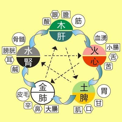 五臟對應表|史上最全中醫五行系統對照表（值得收藏）